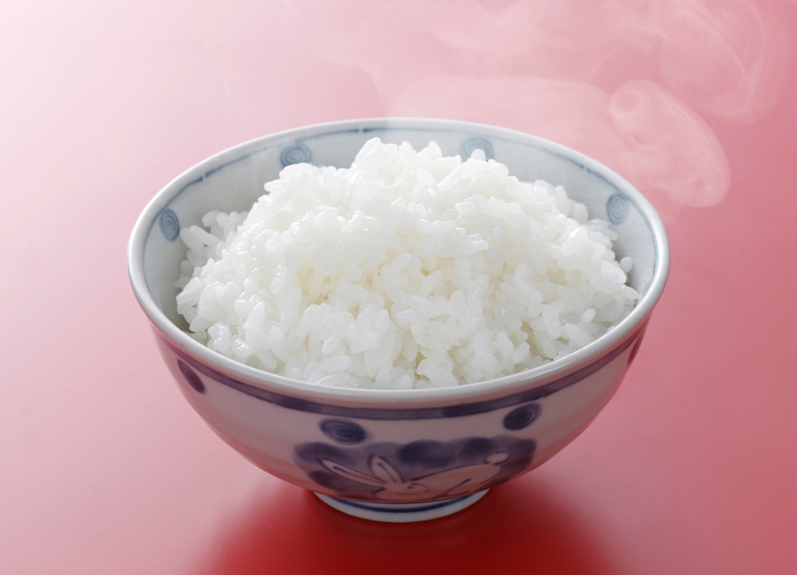 Rice Dispenser Detail 3